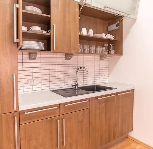 아파트 Sirius D In Center Of Cb. 체스케부데요비체